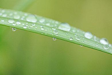 格斗游戏《幻象破坏者：Omnia》2022年3月15日发售 定价39.9美元